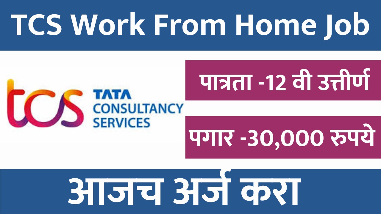 TCS Work From Home Job